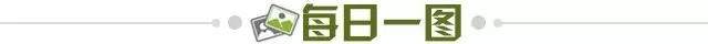 2816e3bb-366e-483a-91be-d6ef785af0db.jpg@!img01